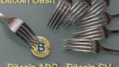 تحديث شبكة بيتكوين كاش Bitcoin Cash، وتفوق لـ Bitcoin ABC