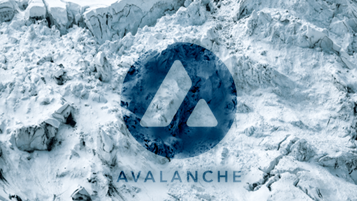 ما هي شبكة Avalanche Network (AVAX) وكيف تعمل؟