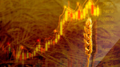 Global wheat prices rise amid the Russia-Ukrainian war