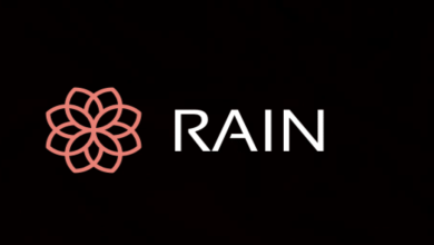 منصة رين Rain العربية